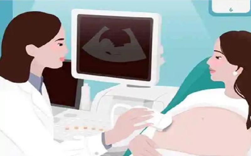 福建哪里试管好代生